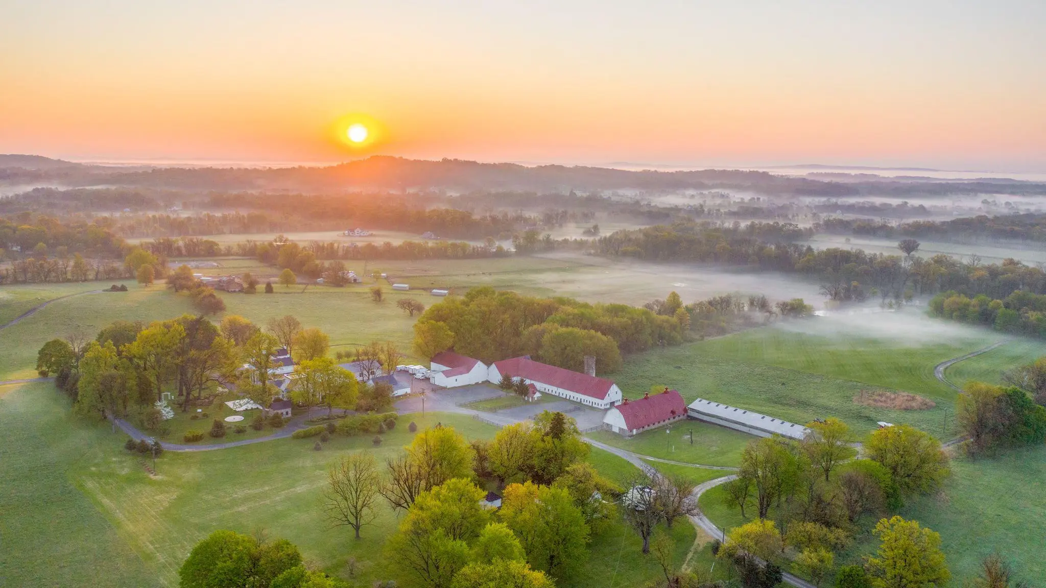 Bluemont Vineyard